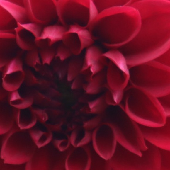 Meet your Posher, CC - Picture 1 of 1